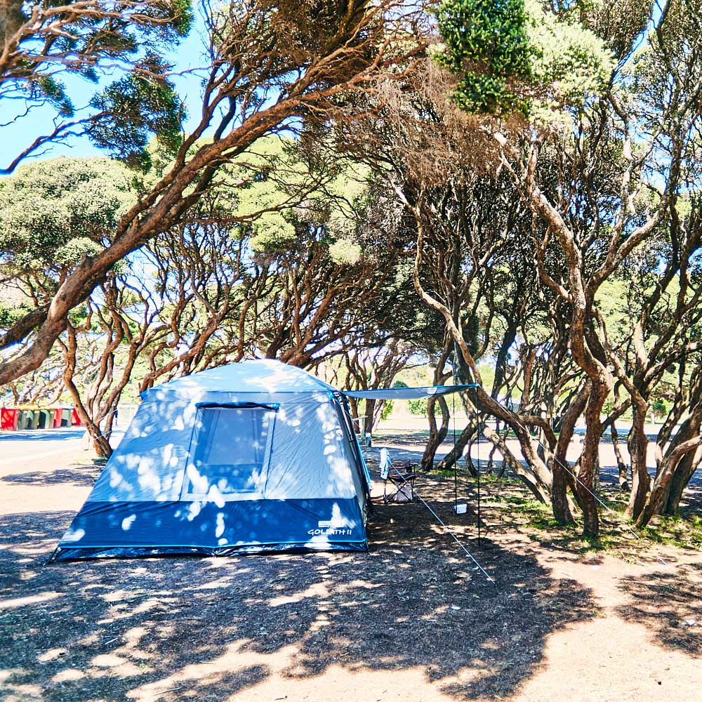 Anglesea Family Caravan Park Great Ocean Road Pet Friendly Camping
