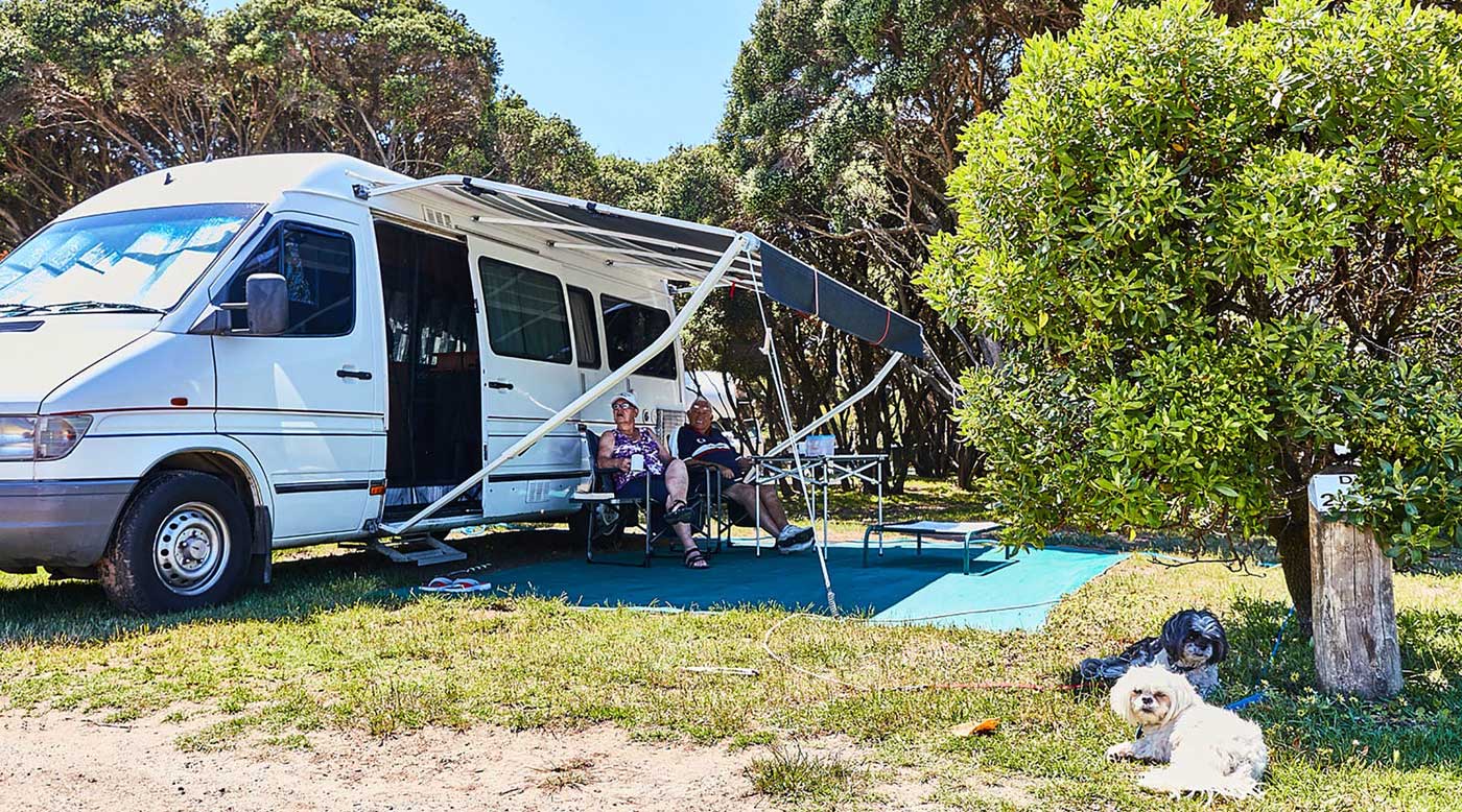 Anglesea Family Caravan Park Great Ocean Road Pet Friendly Camping