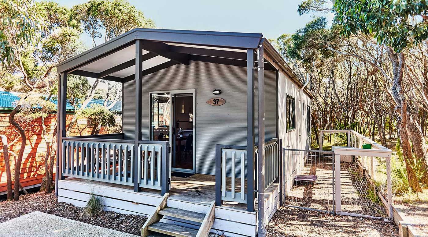 Anglesea Family Caravan Park Great Ocean Road Pet Friendly Camping