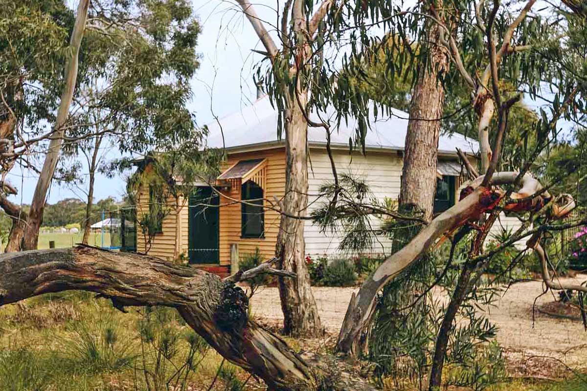 Freshwater Creek Cottages Great Ocean Road Pet Friendly Cottages