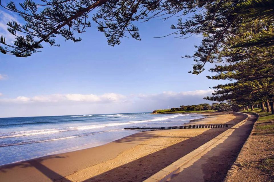 Front Beach Torquay Beach House Great Ocean Road Pet Friendly