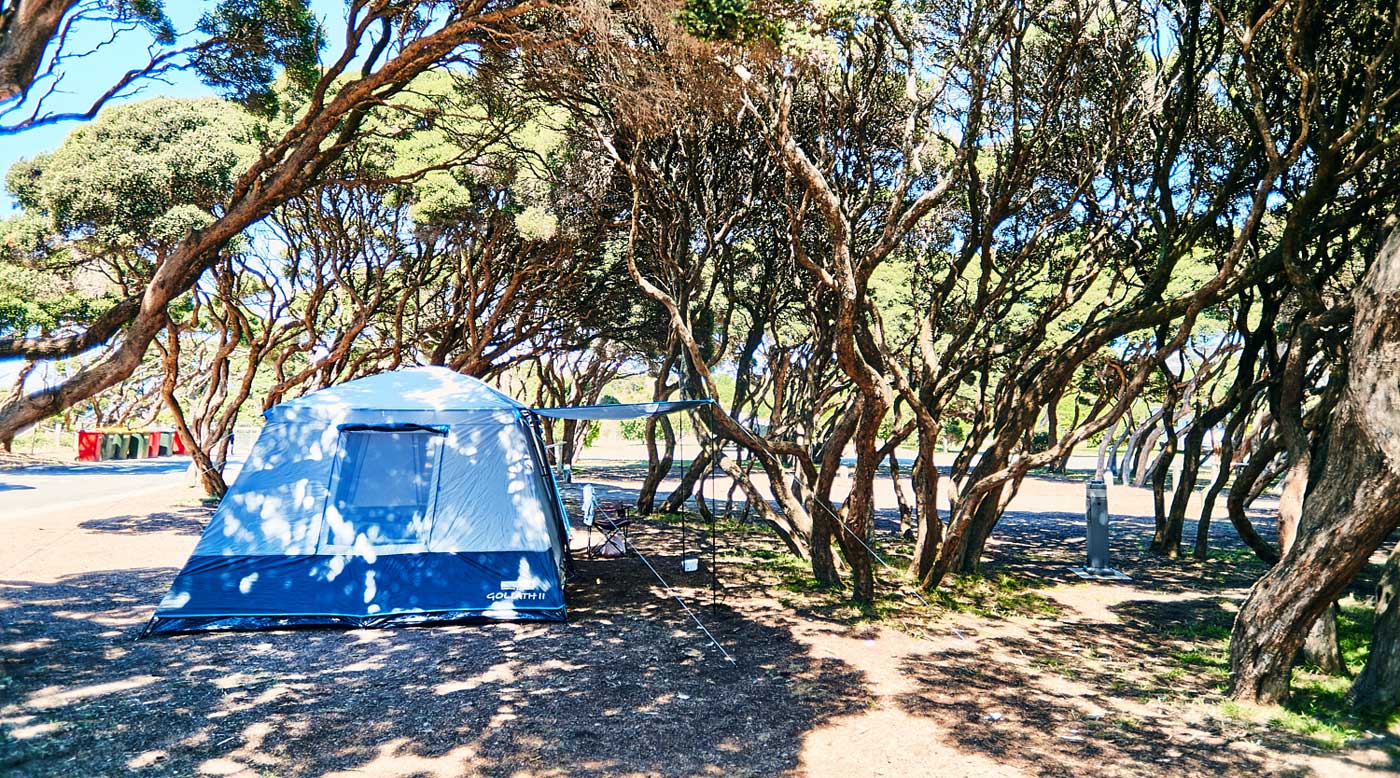 Anglesea Family Caravan Park Great Ocean Road Pet Friendly Camping