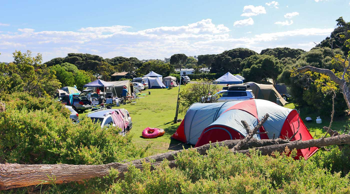ANGLESEA FAMILY CARAVAN PARK Great Ocean Road Pet Friendly