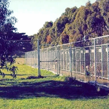 Perzgold-Boarding-Kennels-SQUARE
